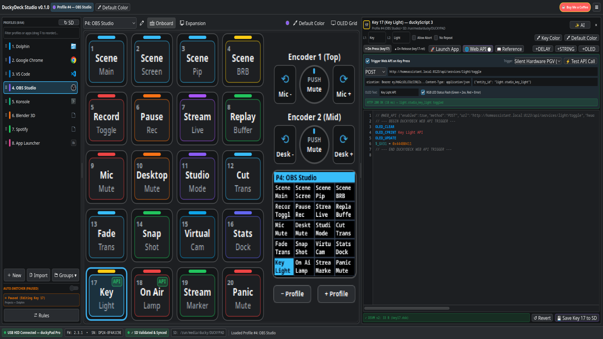 Web API Builder in OBS Studio Profile